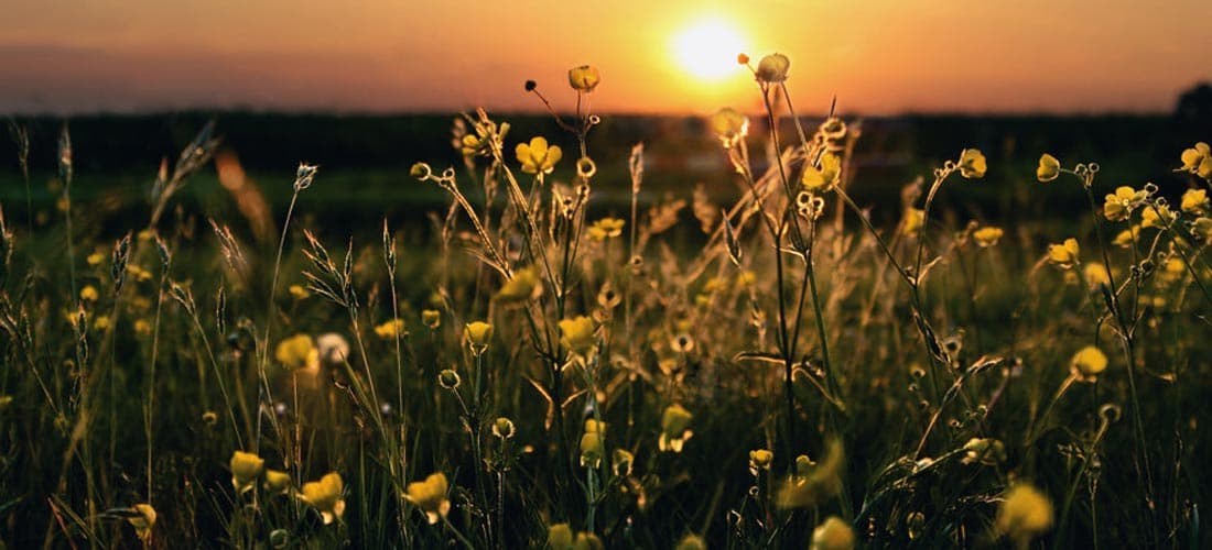 Acupuncture and Insomnia