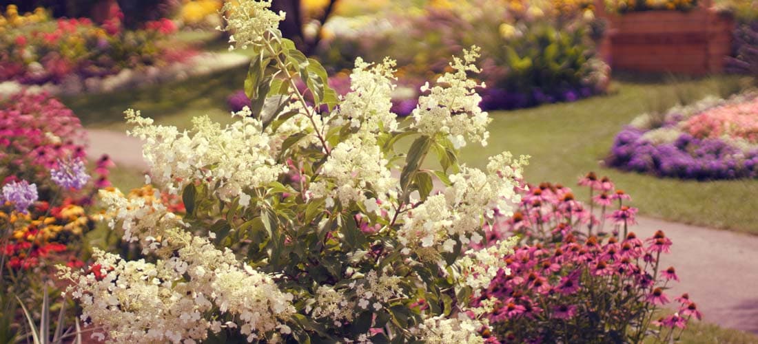 Acupressure of the Meridians: Practical Workshops