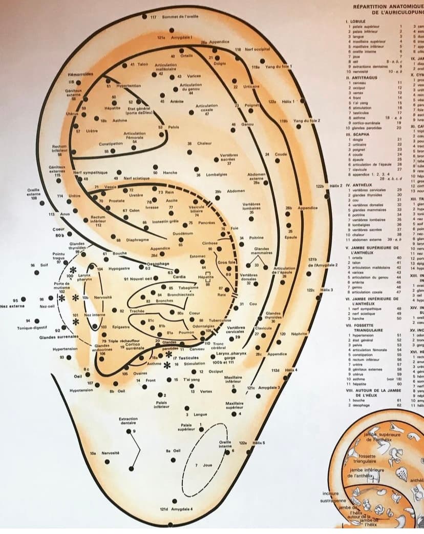 Ear Acupressure: Let's Relax