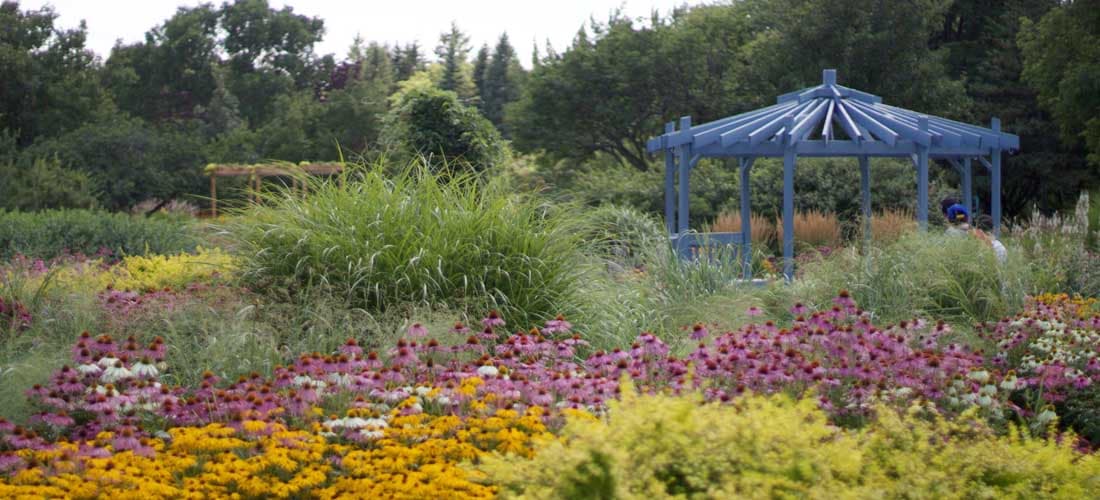 The Protective Vital Energy