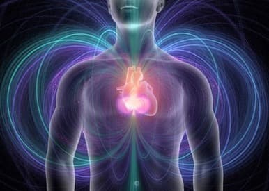 How does acupuncture work?