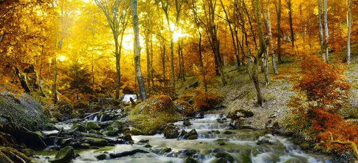 The Power of Change and the Strategy of Acupuncture