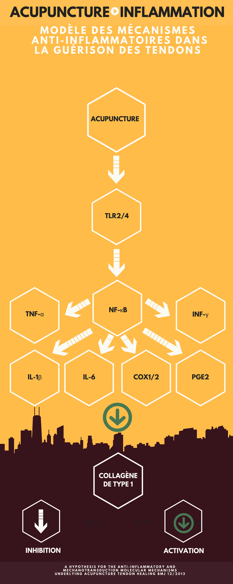 Acupuntura antiinflamatoria regenerativa