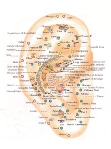 auriculoterapia ansiedad auriculotherapy anxiety
