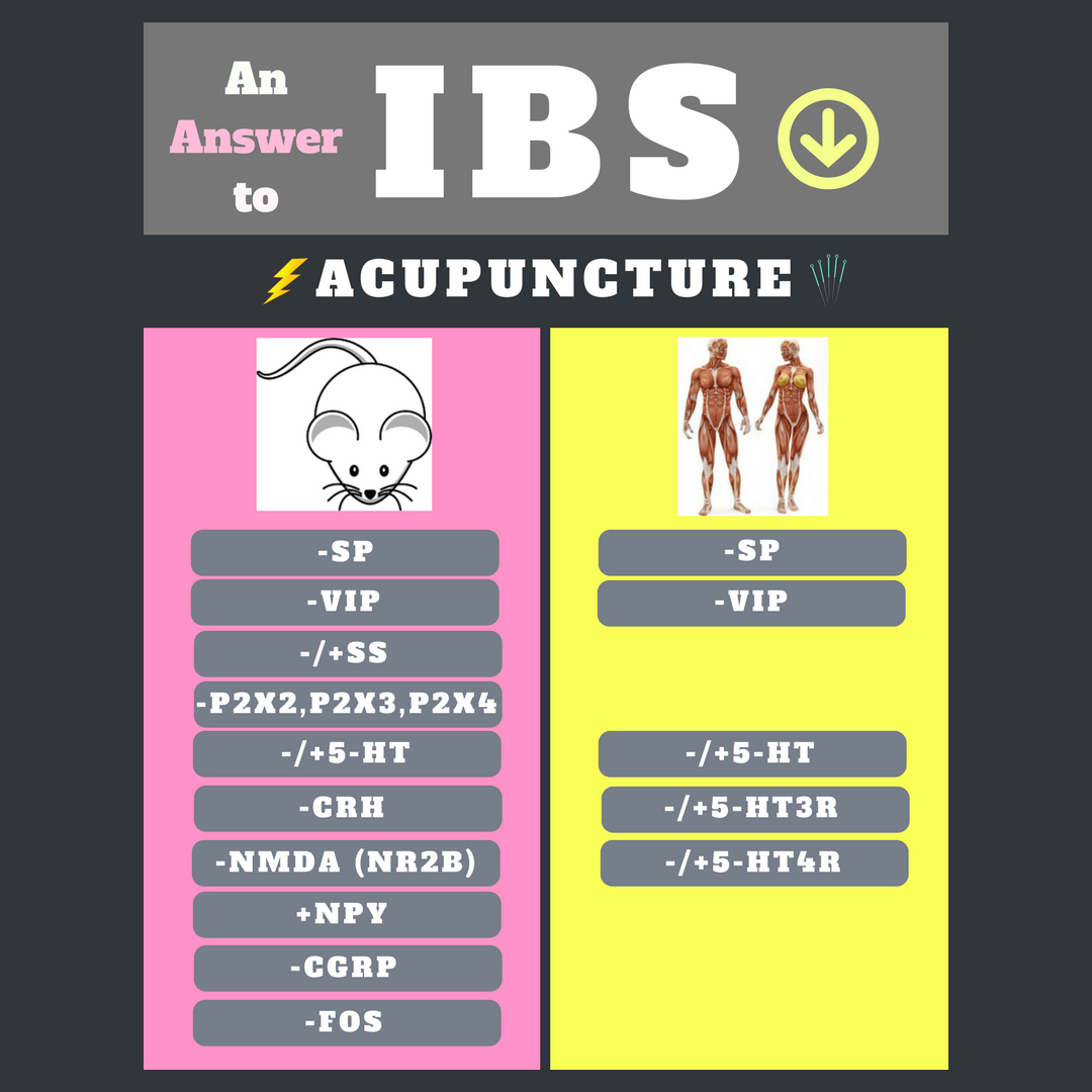 Biomarcadores involucrados en el tratamiento de electroacupuntura (EA) del síndrome del intestino irritable (SII)