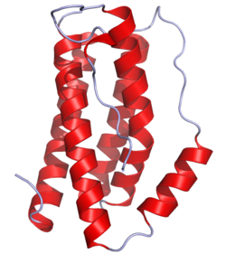 Estructura cristalina IL6 Interleucina 6 y acupuntura