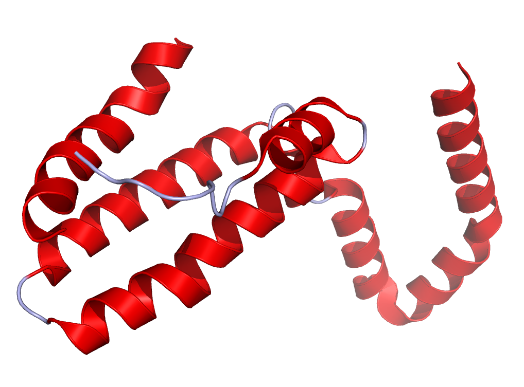 Estructura cristalina Interleucina 10 y acupuntura